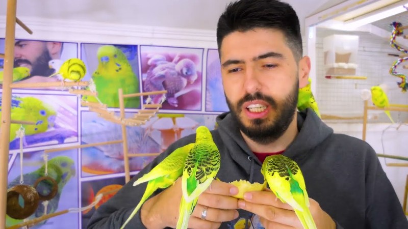 Video Screenshot, tags: das für - youtube